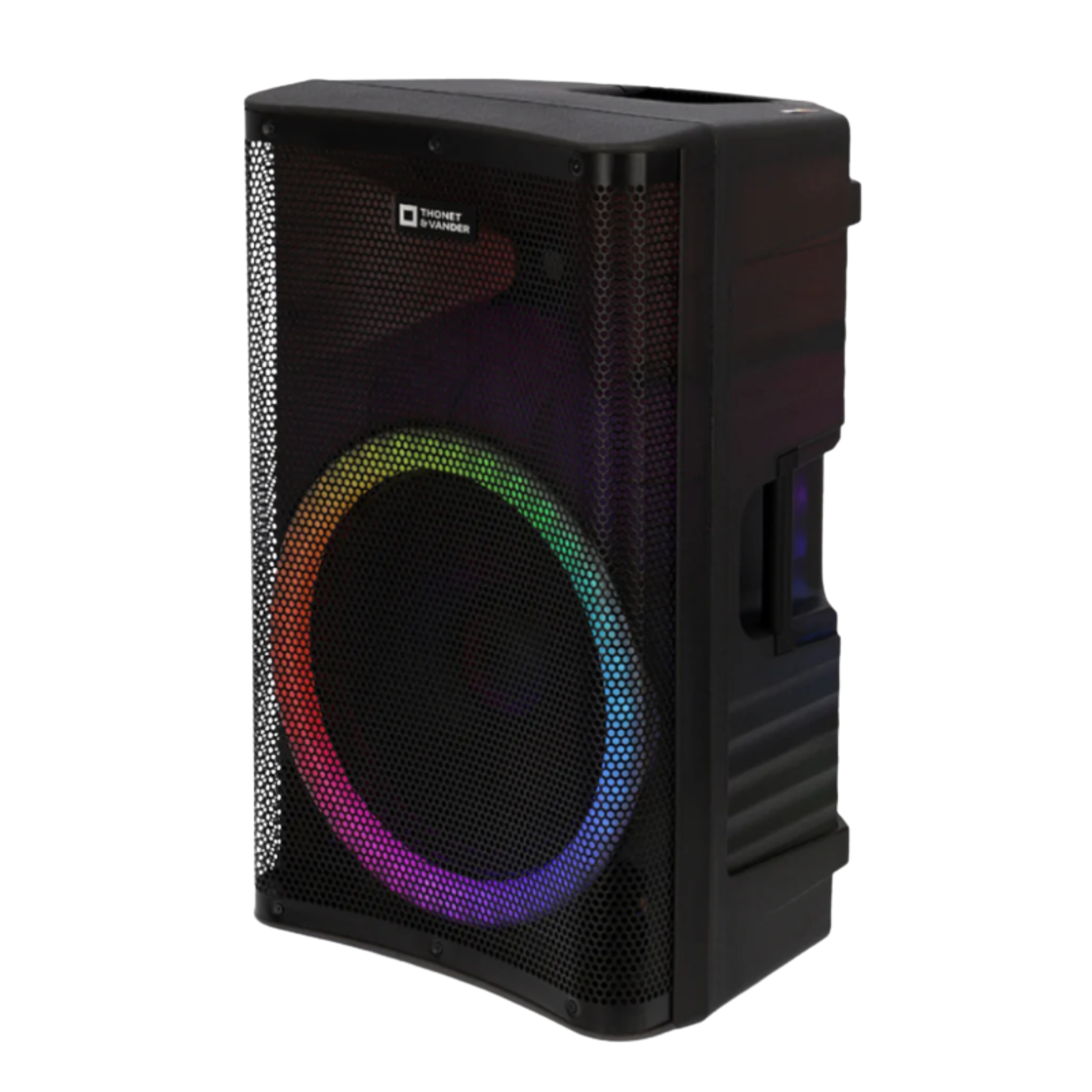 PARLANTE THONET & VANDER STARKG2 250W CON MICROFONO INALÁMBRICO HK096-03646